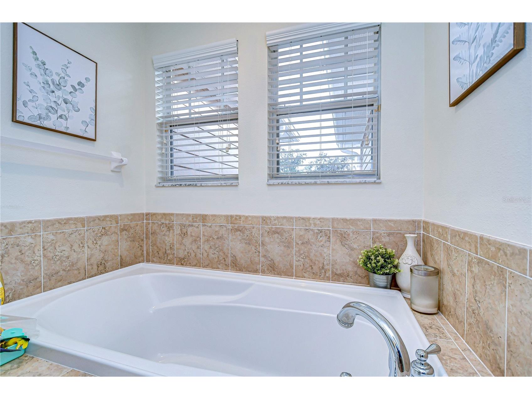 208 Elm View Court Brandon FL 33511 TB8509092 image21