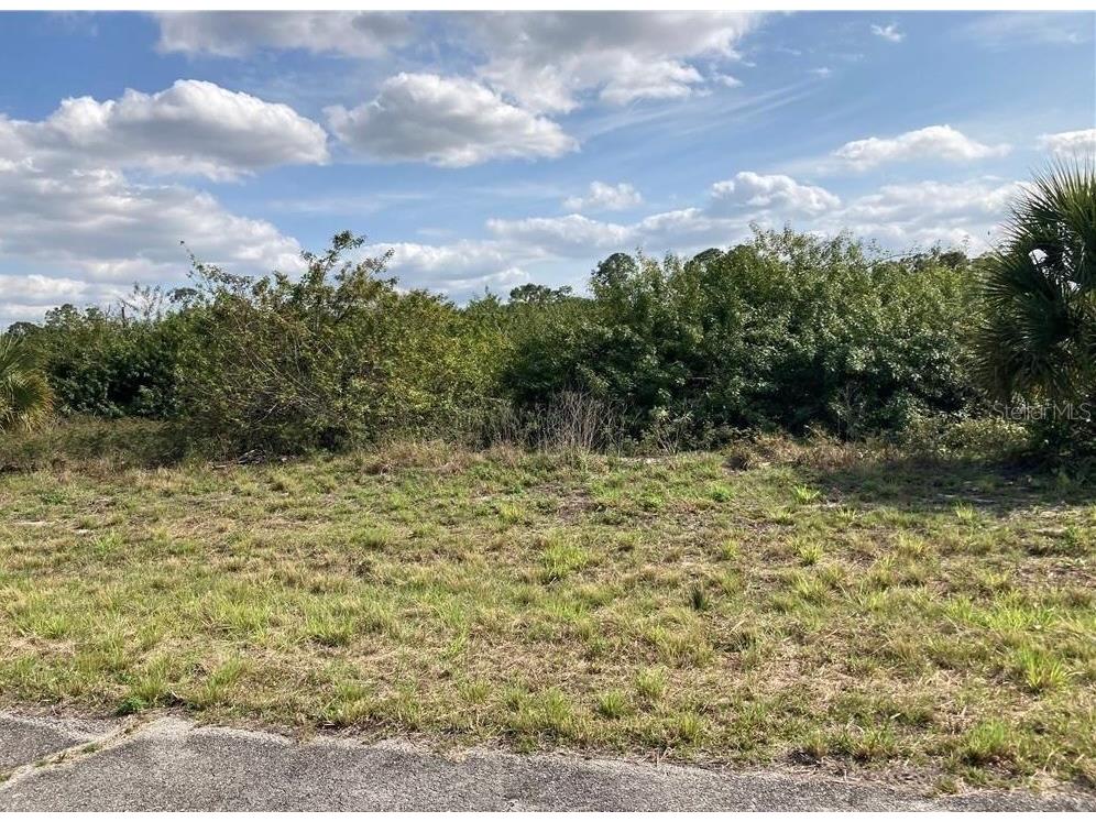 208 Elmwood Street Labelle FL 33935 C7526027 image3