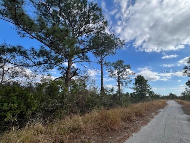 208 Golden Eagle Way Lake Placid FL 33852 U8229043 image1