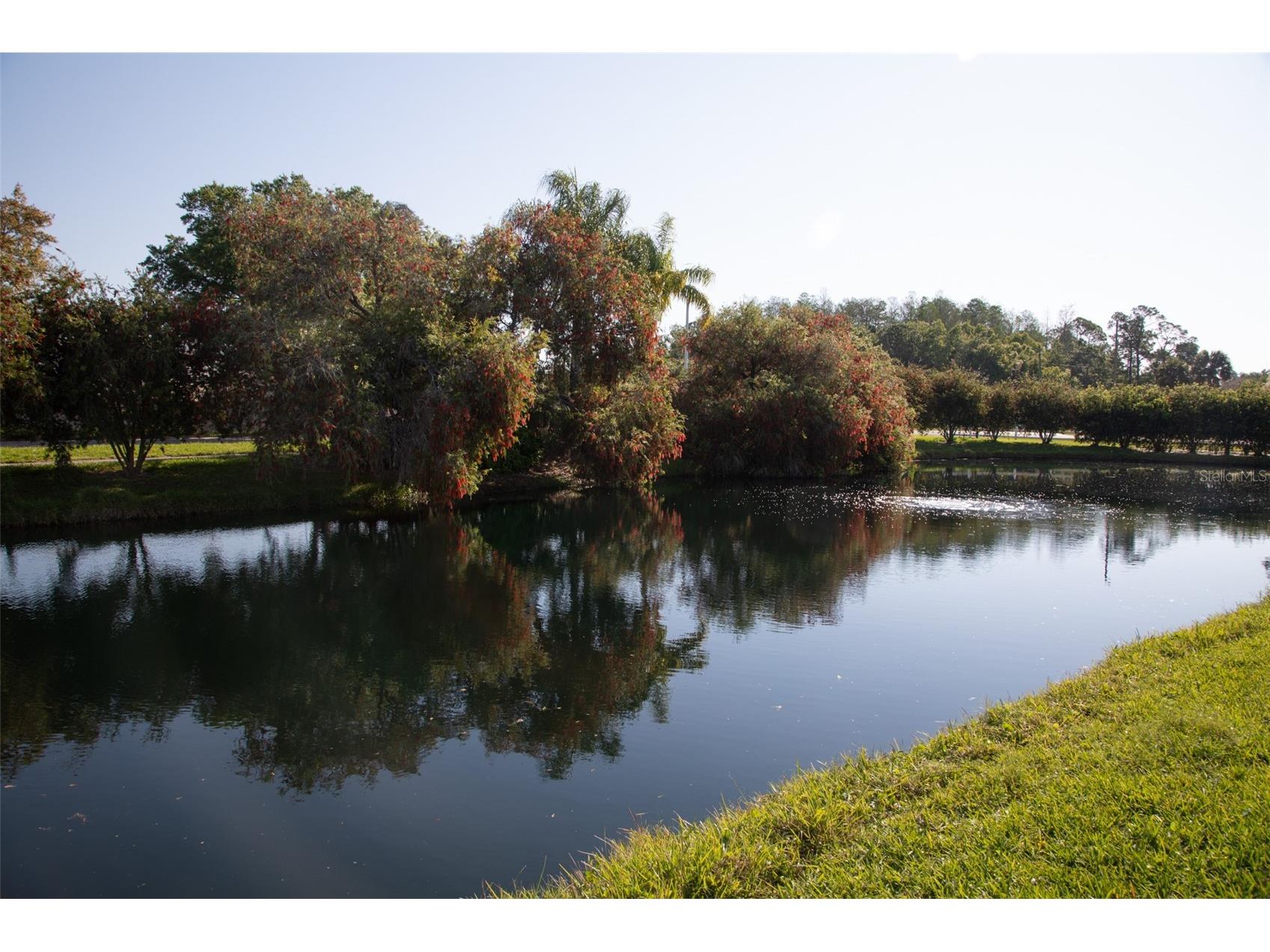 208 Hemingway Drive Oldsmar FL 34677 TB8490712 image2