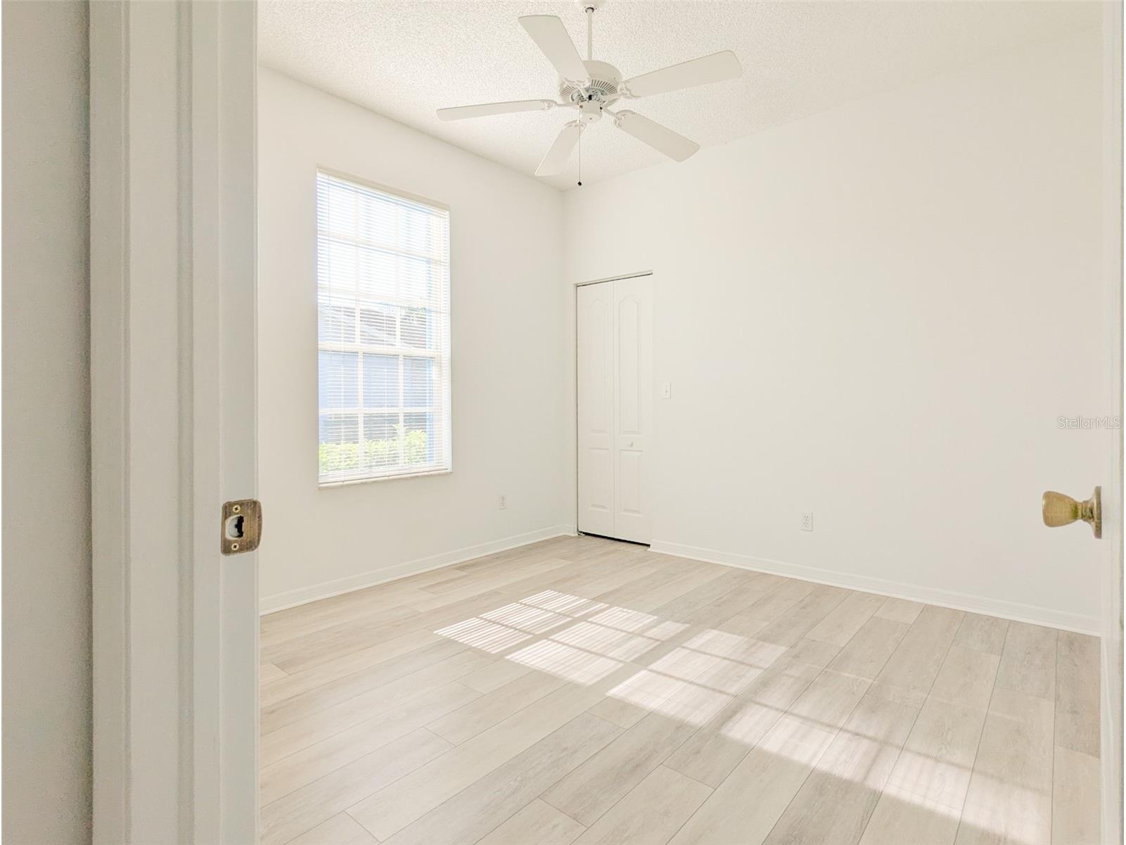 208 Hemingway Drive Oldsmar FL 34677 TB8490712 image21