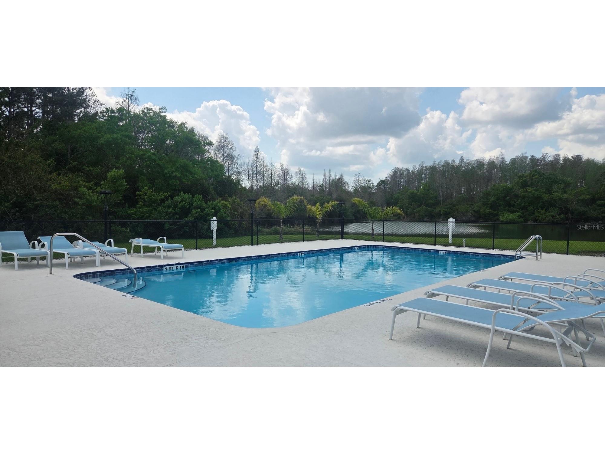 208 Hemingway Drive Oldsmar FL 34677 TB8490712 image27