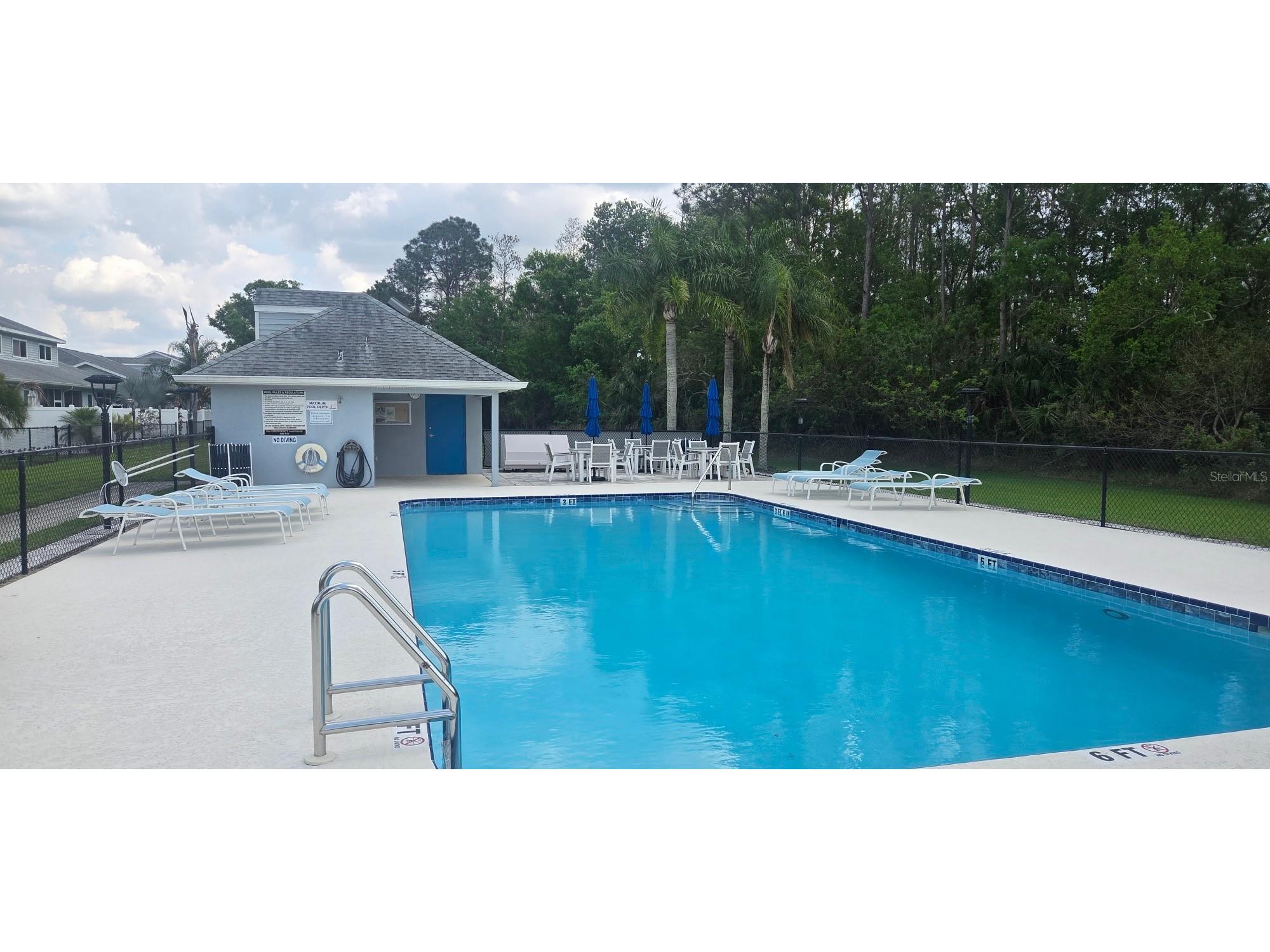 208 Hemingway Drive Oldsmar FL 34677 TB8490712 image28