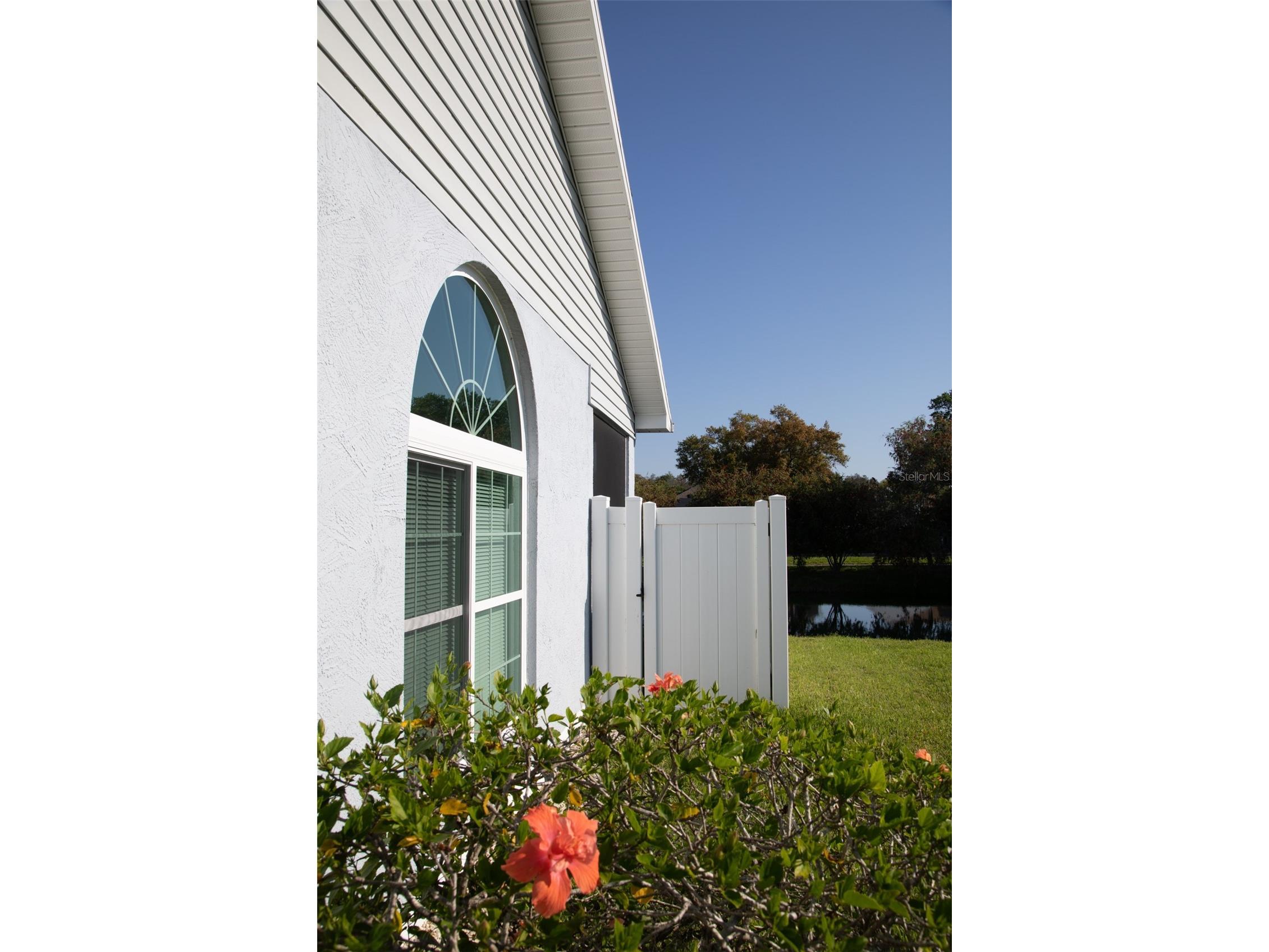 208 Hemingway Drive Oldsmar FL 34677 TB8490712 image32