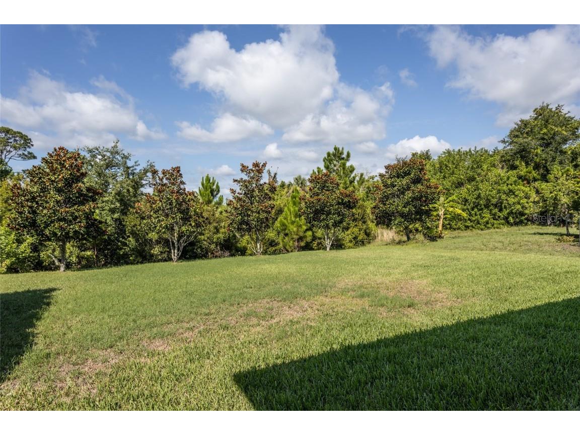 208 Heron Drive Palm Coast FL 32137 FC302106 image46