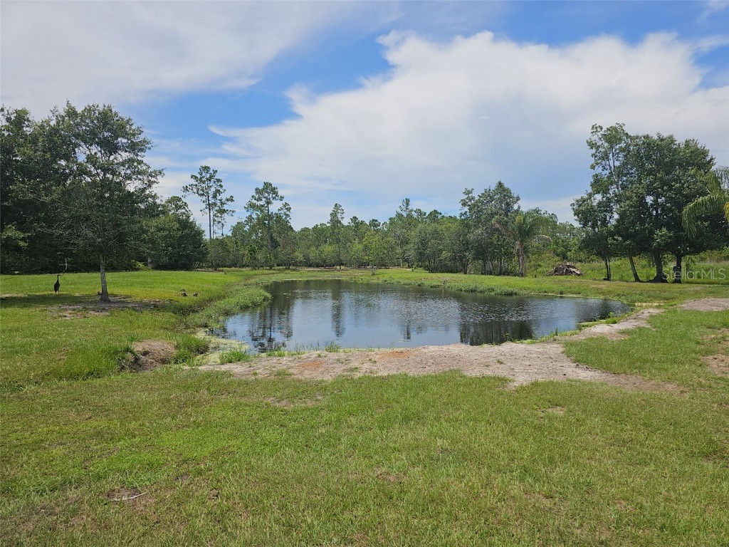 208 Limpkin Ln Frostproof FL 33843 P4933510 image38