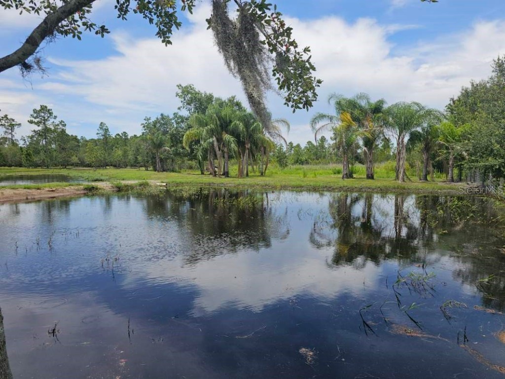 208 Limpkin Ln Frostproof FL 33843 P4933510 image39