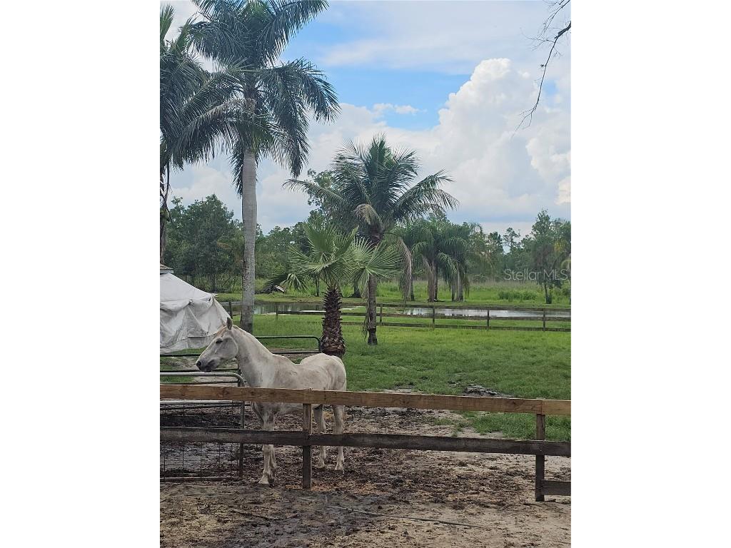 208 Limpkin Ln Frostproof FL 33843 P4933510 image8