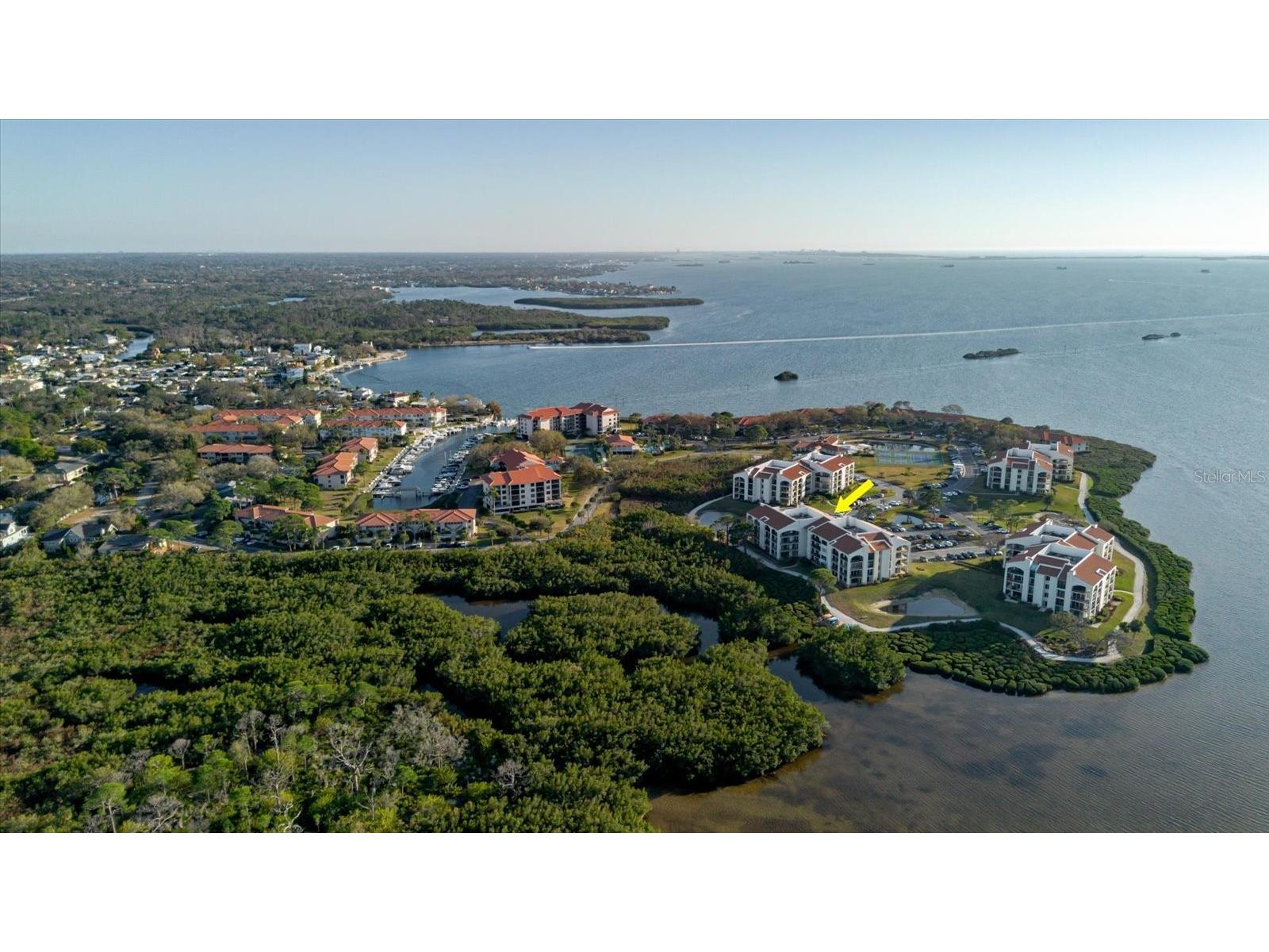 208 Mariner Drive #208 Tarpon Springs FL 34689 - GULF TB8479394 image50