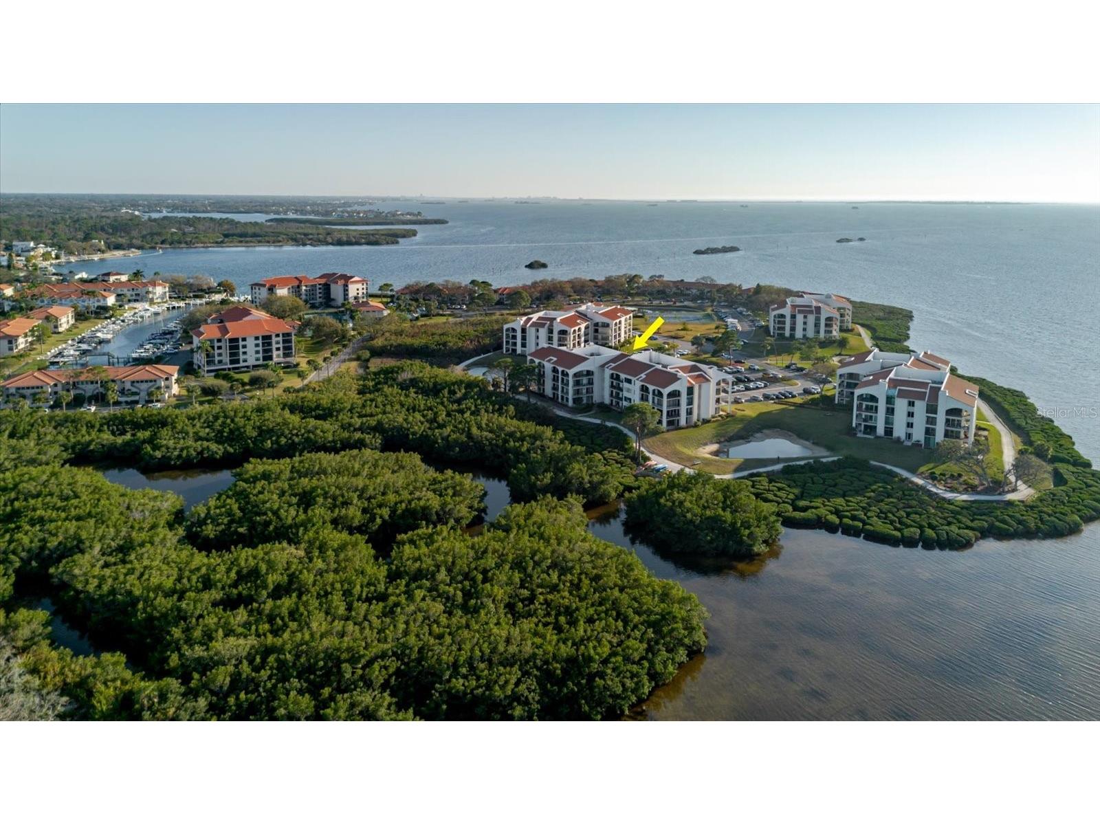 208 Mariner Drive #208 Tarpon Springs FL 34689 - GULF TB8479394 image51