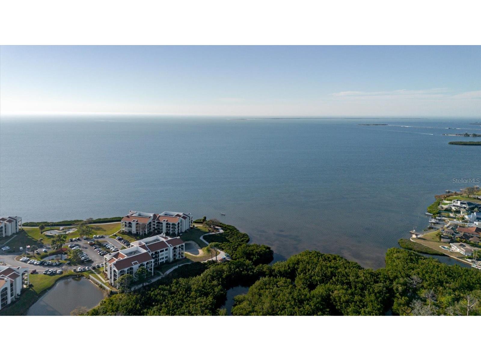 208 Mariner Drive #208 Tarpon Springs FL 34689 - GULF TB8479394 image61