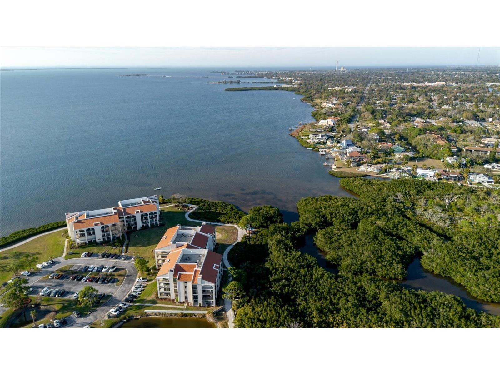 208 Mariner Drive #208 Tarpon Springs FL 34689 - GULF TB8479394 image63