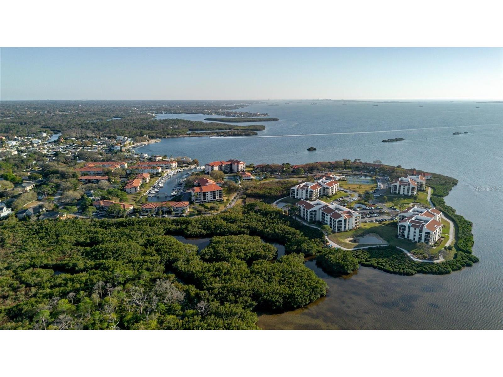 208 Mariner Drive #208 Tarpon Springs FL 34689 - GULF TB8479394 image68