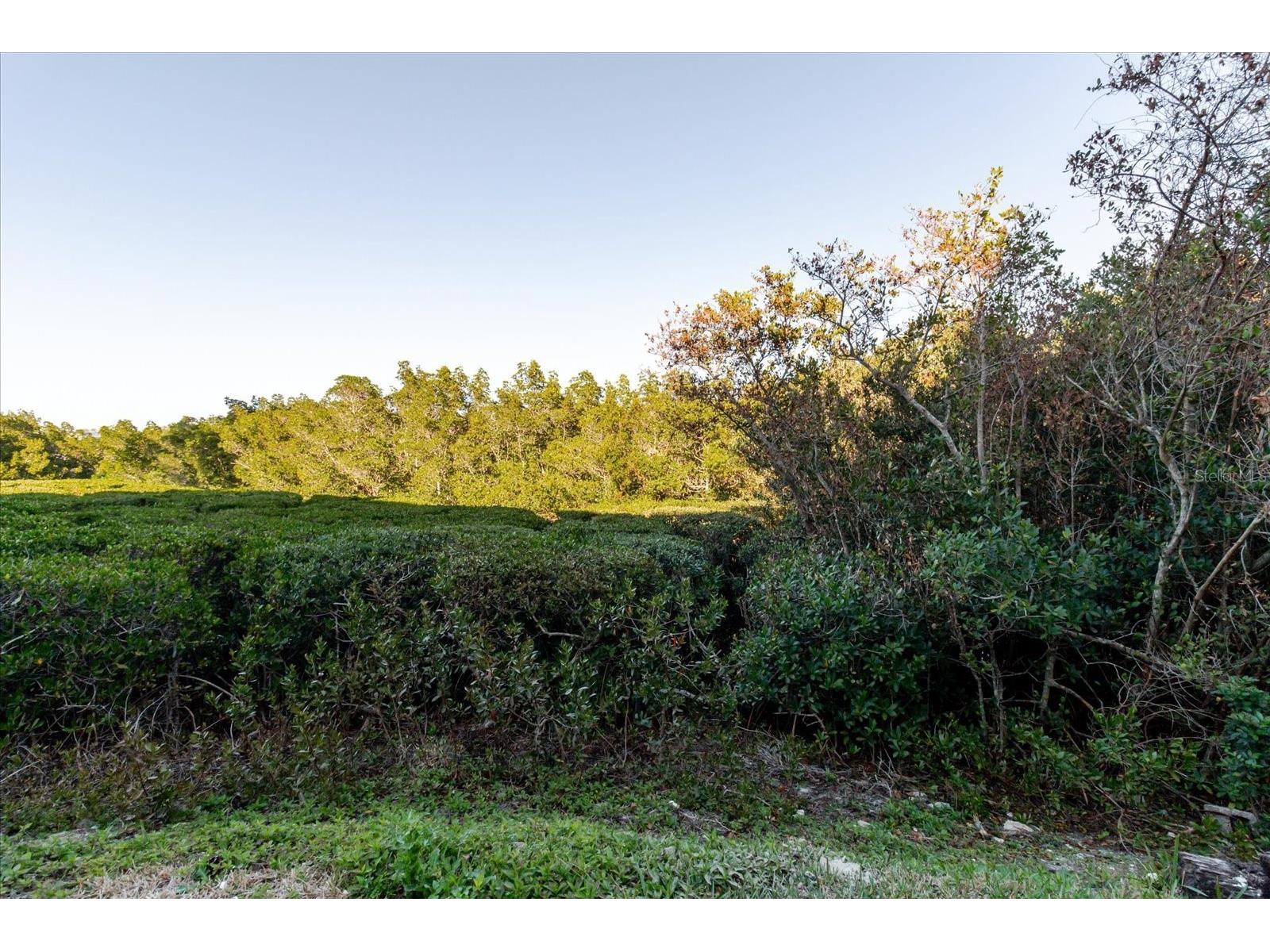 208 Mariner Drive #208 Tarpon Springs FL 34689 - GULF TB8479394 image74