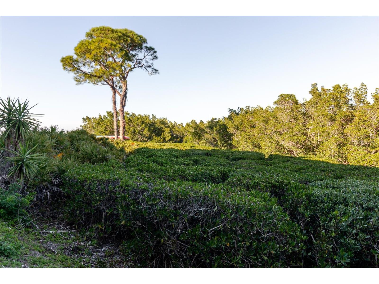 208 Mariner Drive #208 Tarpon Springs FL 34689 - GULF TB8479394 image75