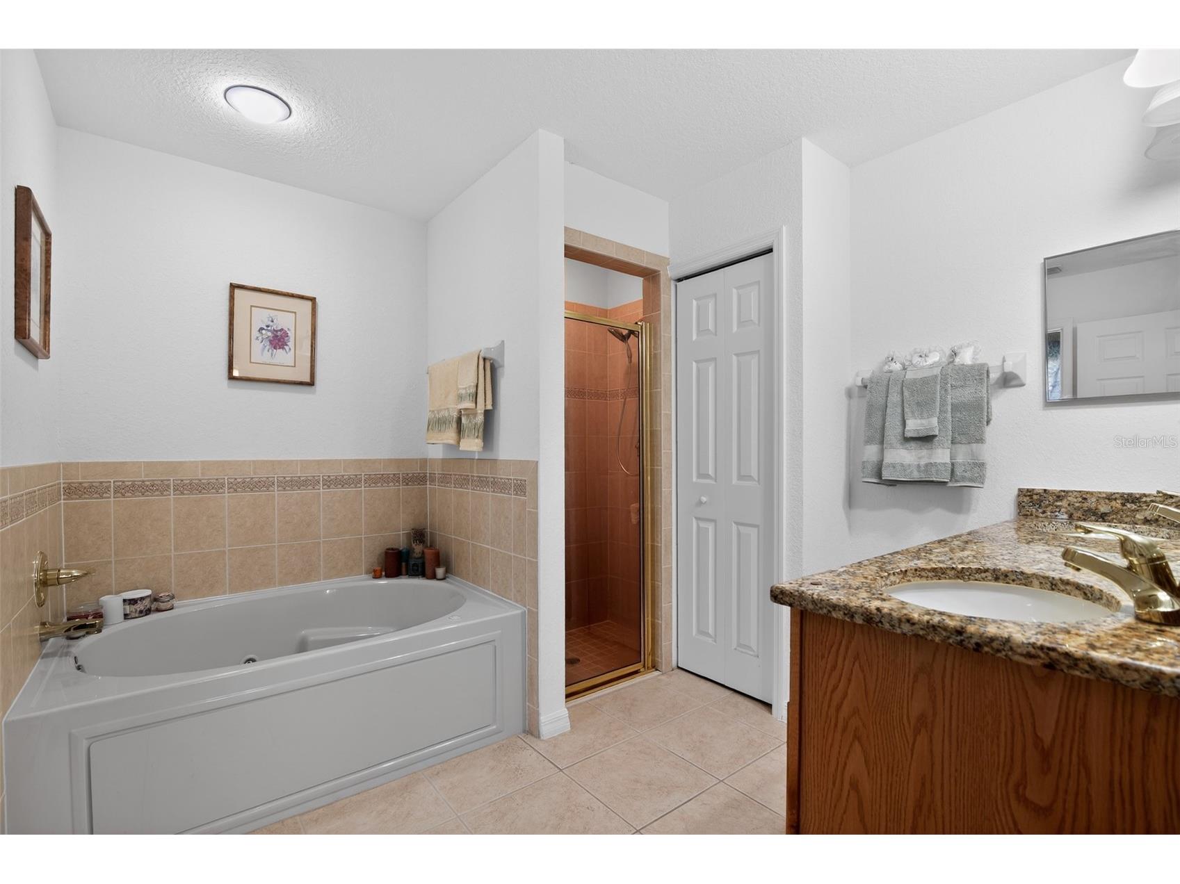 208 Marion Oaks Trail Ocala FL 34473 O6410455 image29