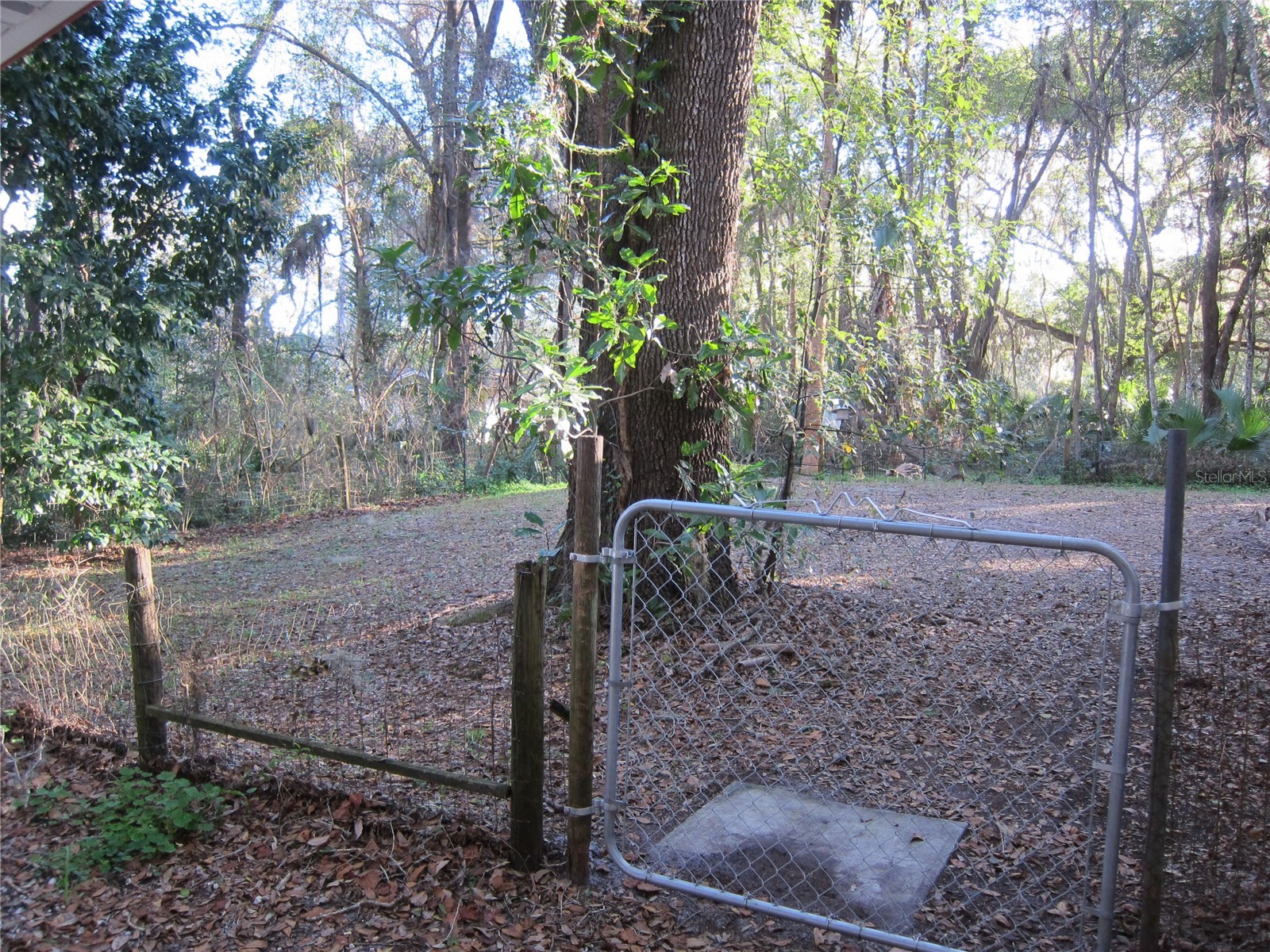 208 NE 7 Place #A Micanopy FL 32667 GC540162 image5