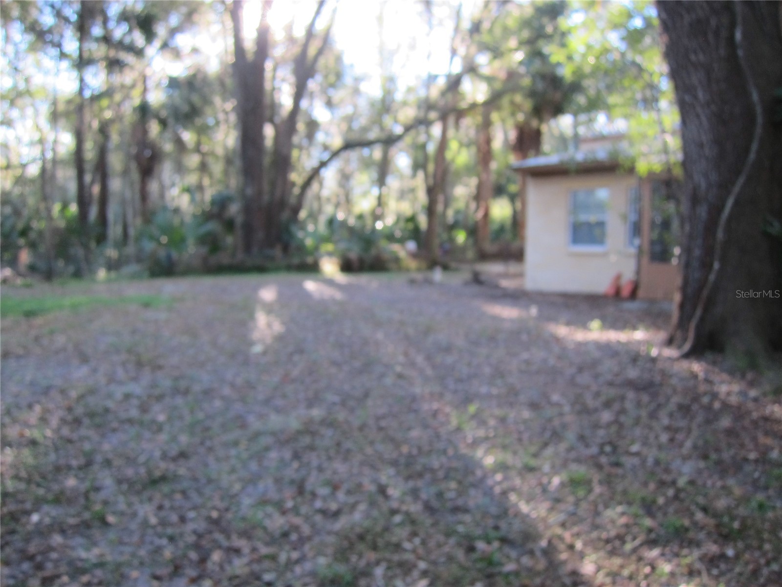 208 NE 7 Place #A Micanopy FL 32667 GC540162 image6