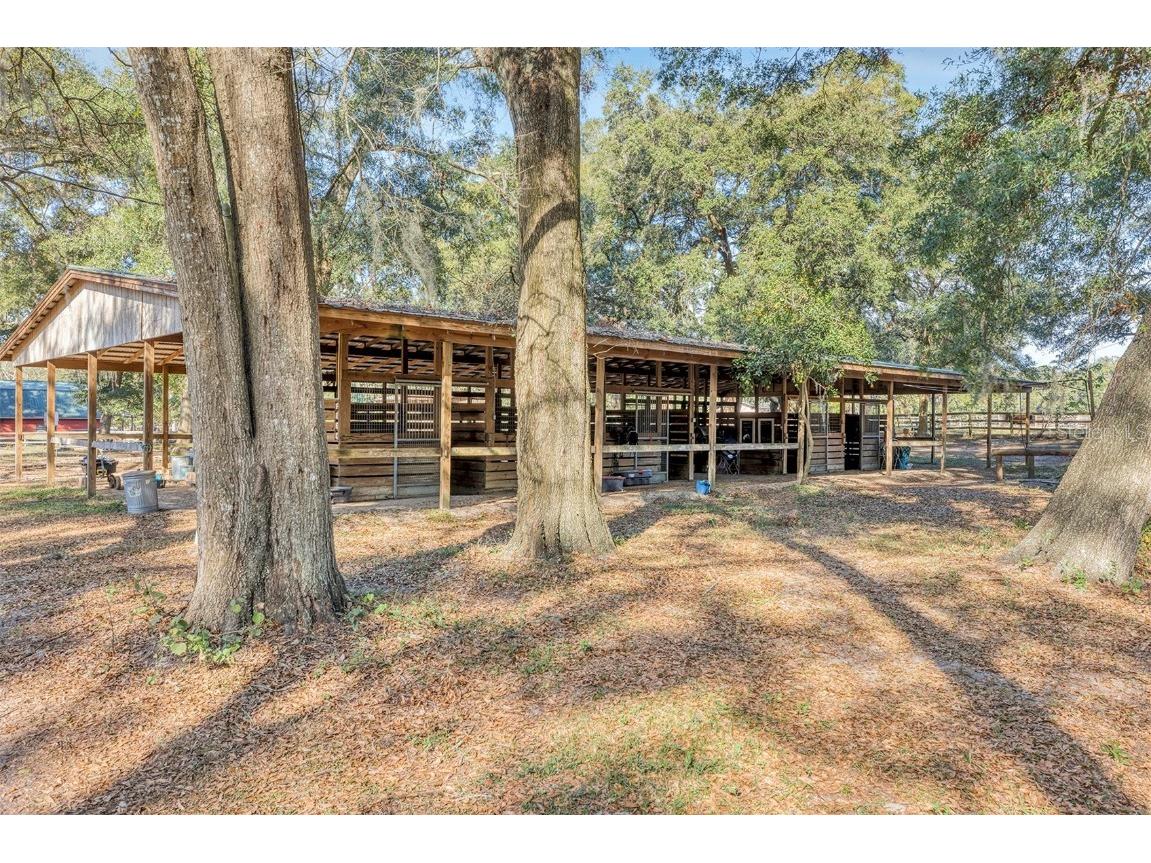 208 NE 70th Street Ocala FL 34479 OM691016 image12