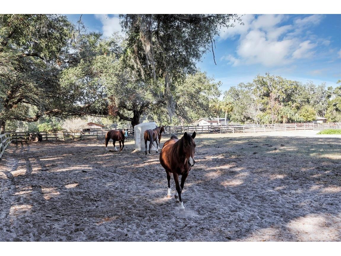 208 NE 70th Street Ocala FL 34479 OM691016 image17