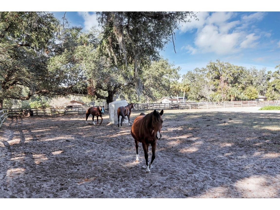 208 NE 70th Street Ocala FL 34479 OM691016 image18