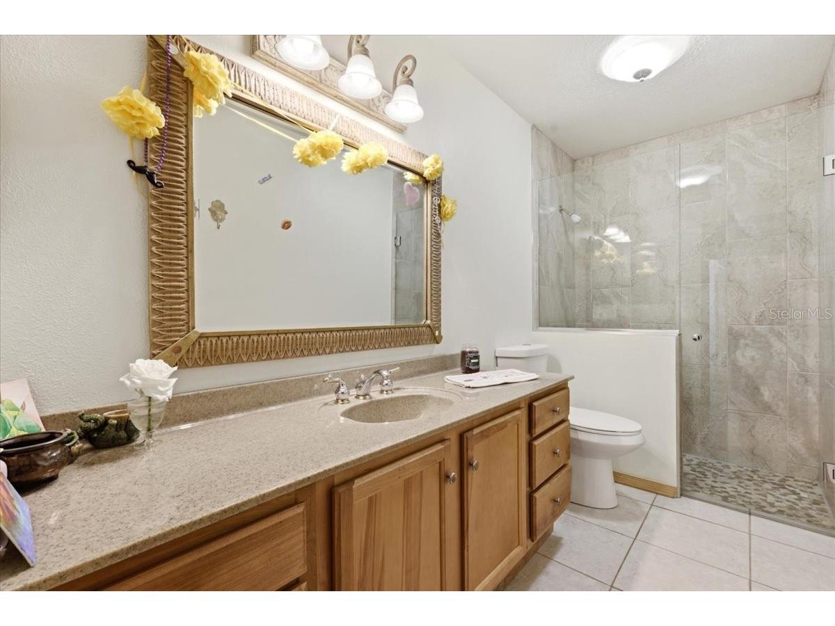 208 Orange Ridge Circle Longwood FL 32779 O6394394 image31