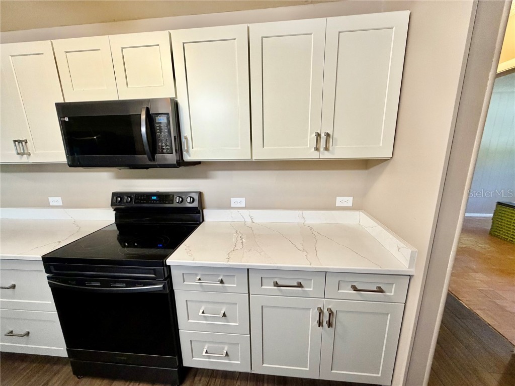 208 Palm Way Tavares FL 32778 G5103376 image15