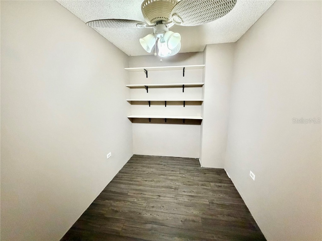 208 Palm Way Tavares FL 32778 G5103376 image23