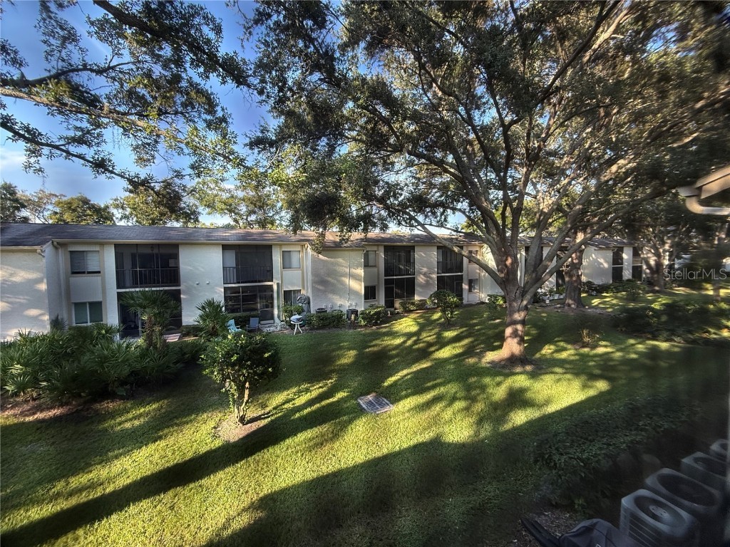 208 Palmetto Ct #208 Oldsmar FL 34677 W7877305 image27