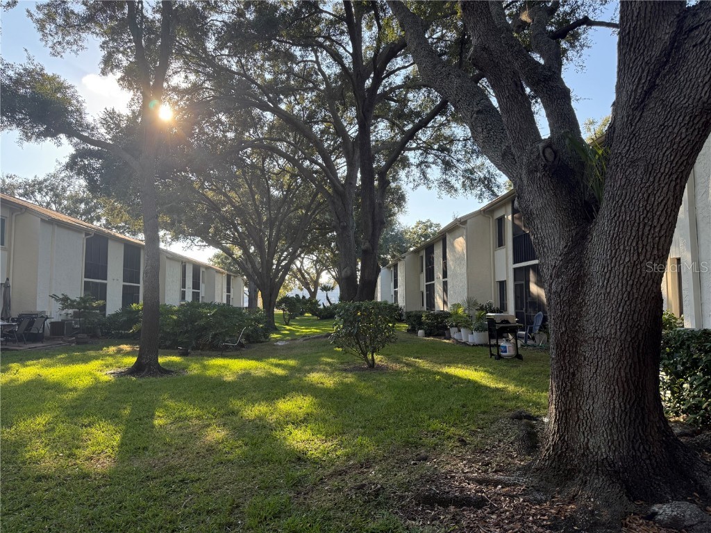 208 Palmetto Ct #208 Oldsmar FL 34677 W7877305 image41