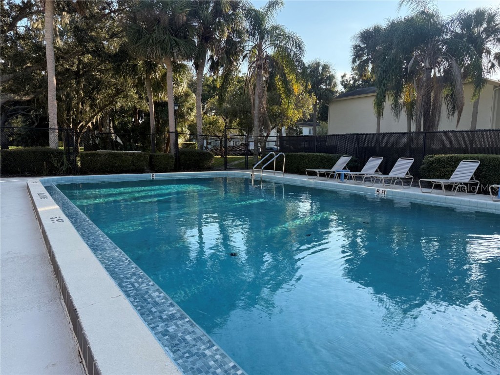 208 Palmetto Ct #208 Oldsmar FL 34677 W7877305 image43