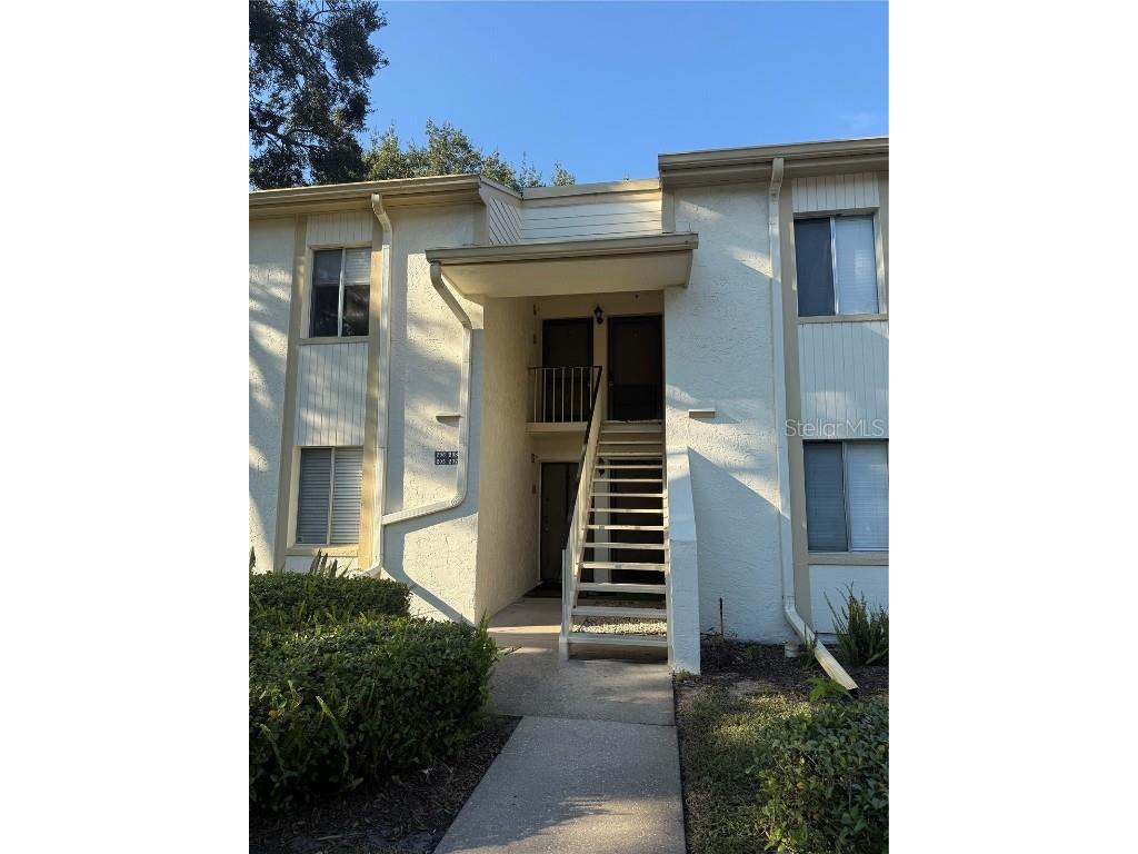 208 Palmetto Ct #208 Oldsmar FL 34677 W7877305 image46