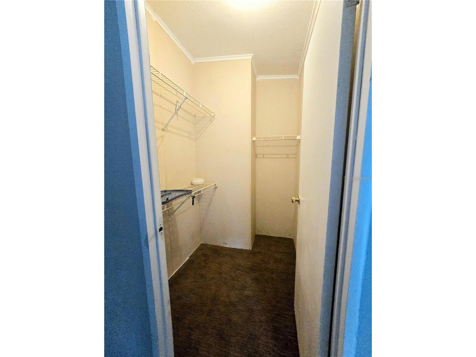 208 Pine Tree Trail Crescent City FL 32112 V4947287 image15