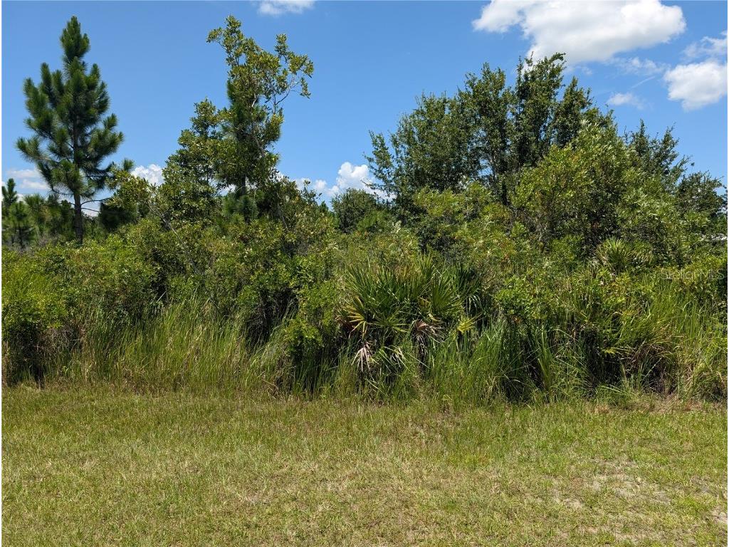 208 Poinciana Drive Indian Lake Estates FL 33855 - LAKE WALK-IN-WATER TB8412159 image2