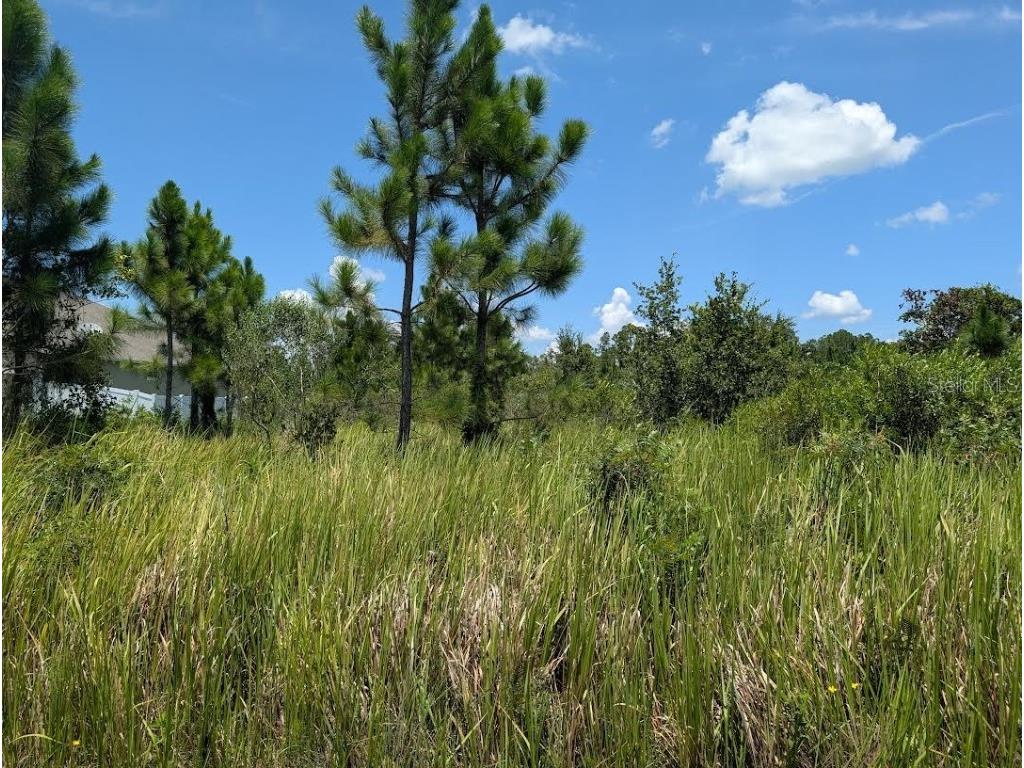 208 Poinciana Drive Indian Lake Estates FL 33855 - LAKE WALK-IN-WATER TB8412159 image3