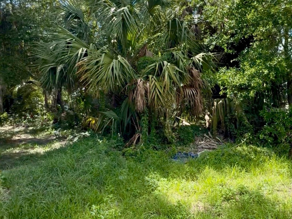 208 S Franklin Street Plant City FL 33563 TB8398933 image1