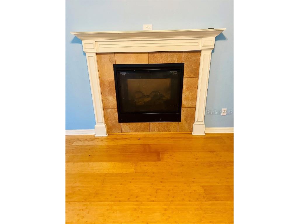 208 Shepard Avenue Dundee FL 33838 TB8380007 image19