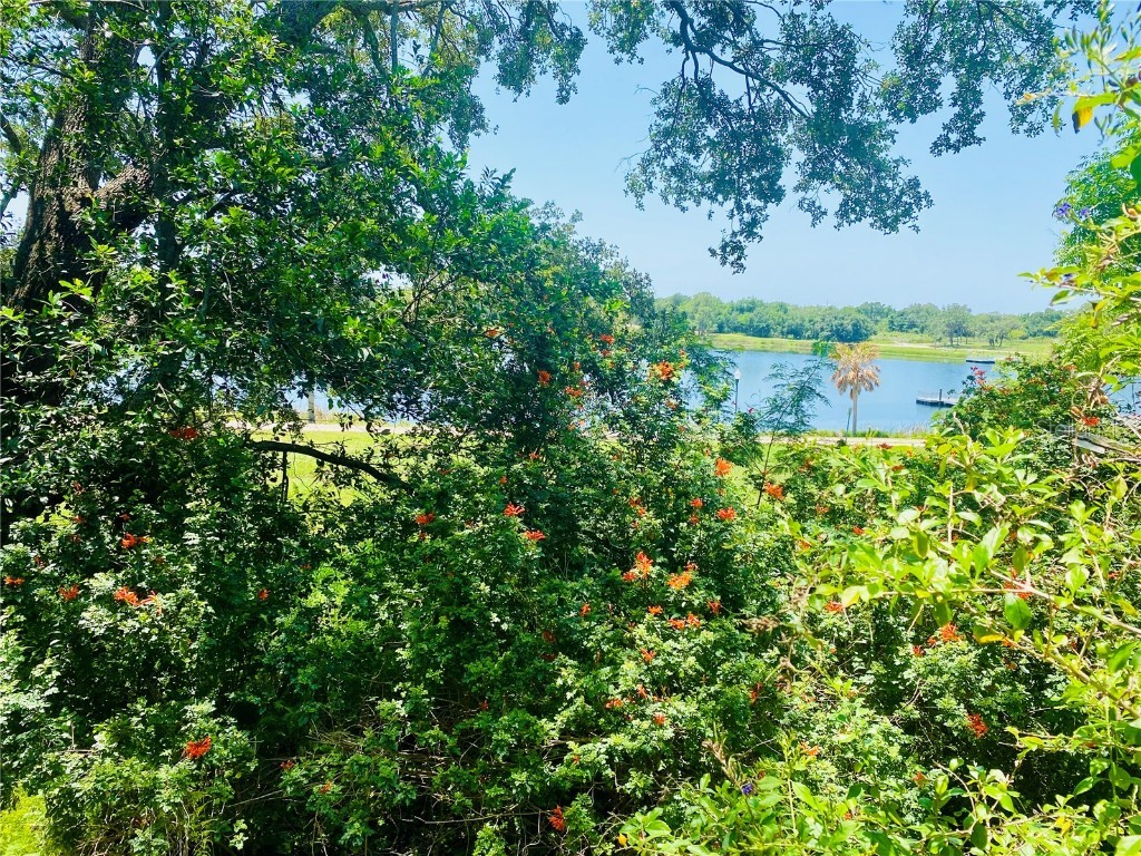 208 Shepard Avenue Dundee FL 33838 TB8380007 image27