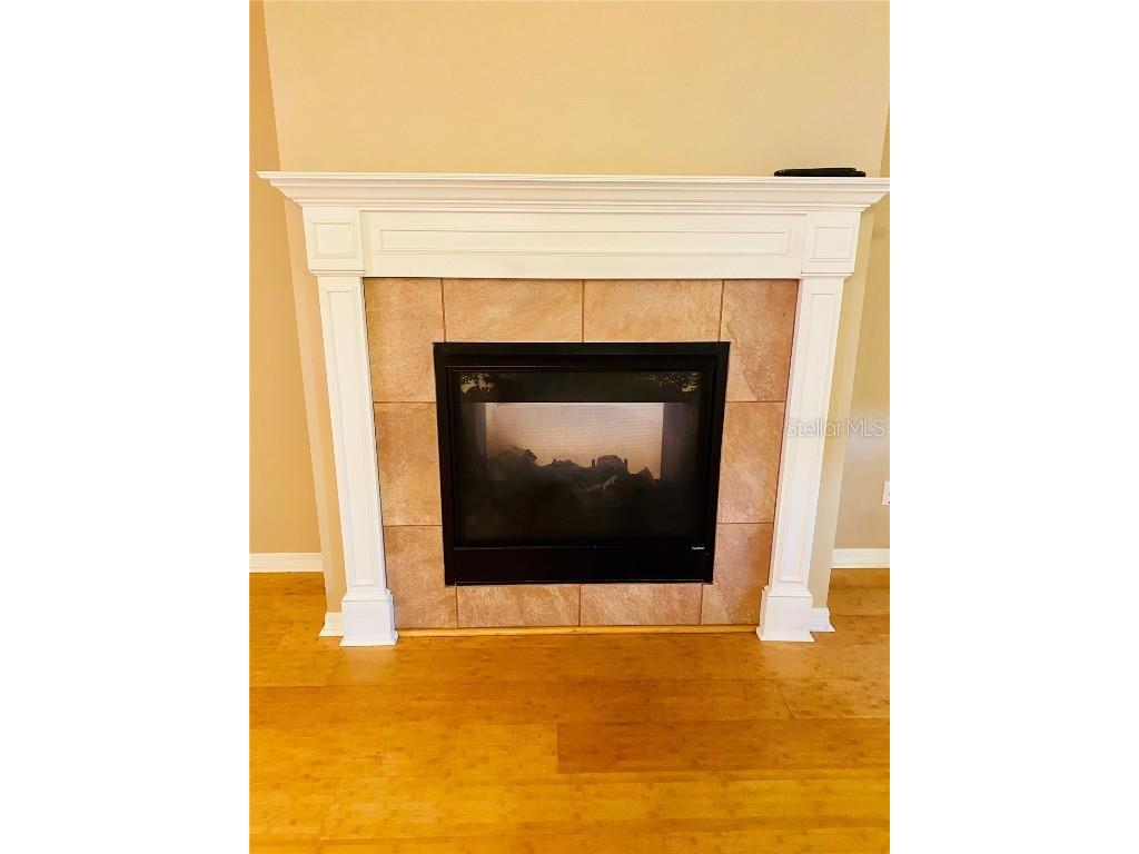 208 Shepard Avenue Dundee FL 33838 TB8380007 image9