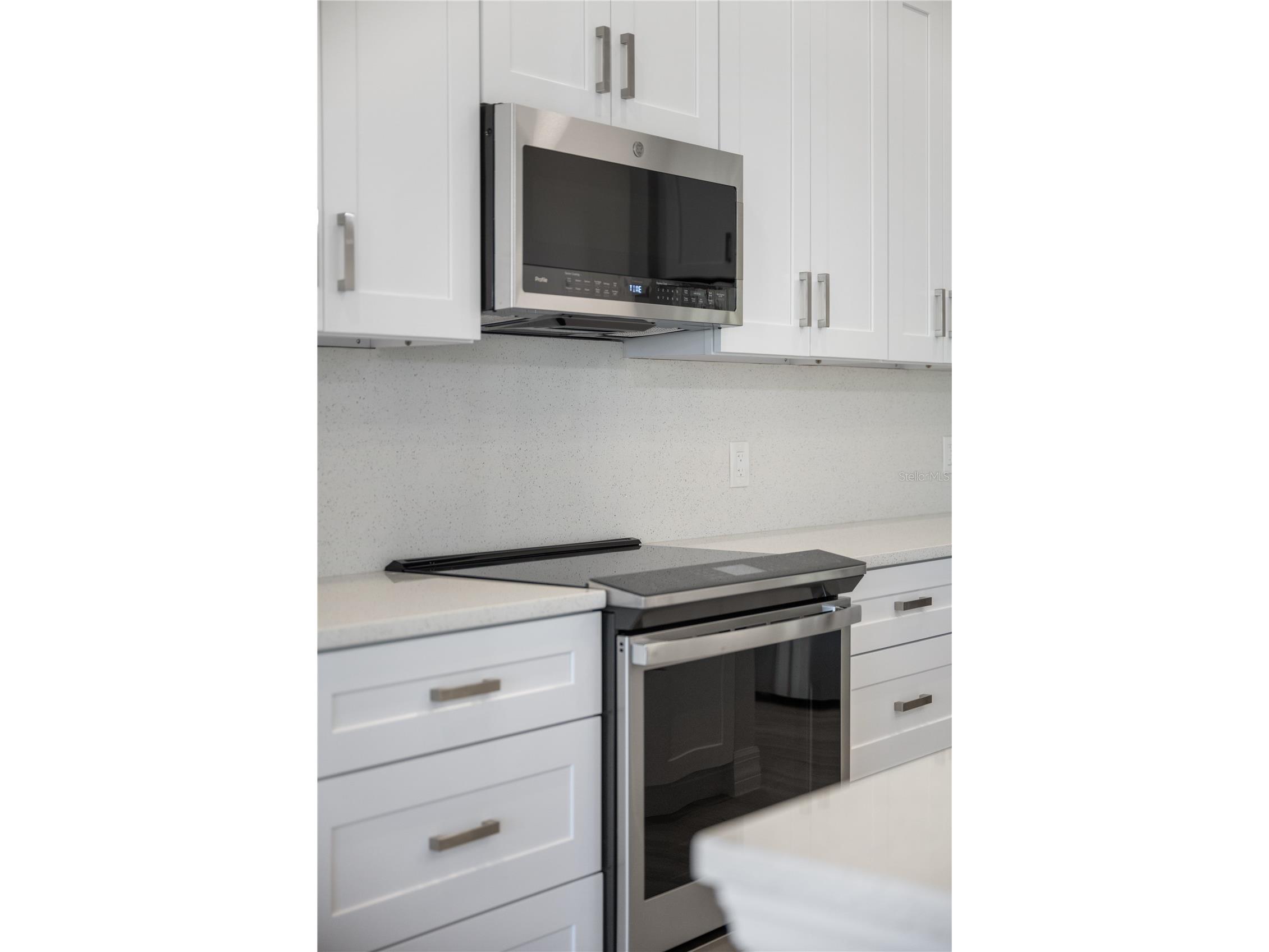 208 Snowy Orchid Way Lake Alfred FL 33850 - LAKE ALFRED & LAKE VAN O6421820 image11