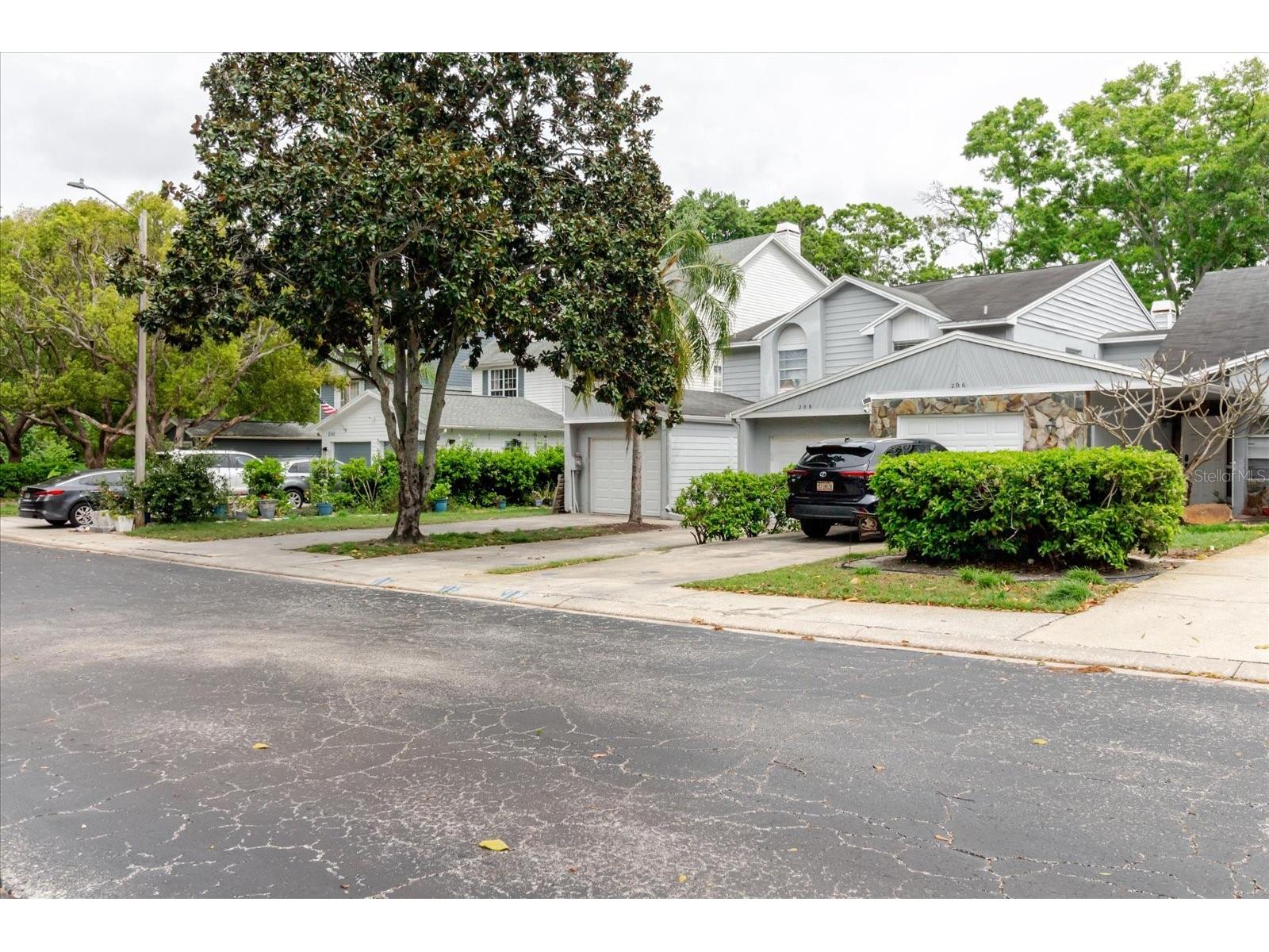 208 St Ives Dr Palm Harbor FL 34684 TB8488388 image1