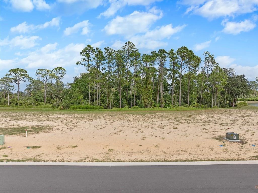 208 Stillwater Drive Flagler Beach FL 32136 FC312738 image4