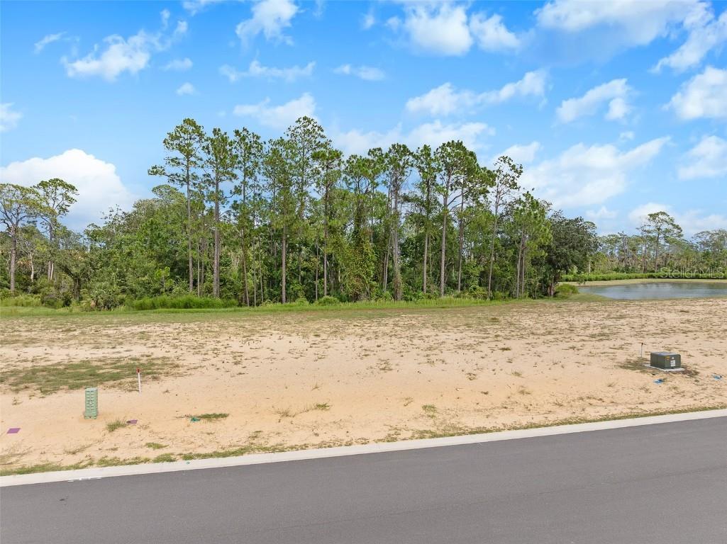 208 Stillwater Drive Flagler Beach FL 32136 FC312738 image5