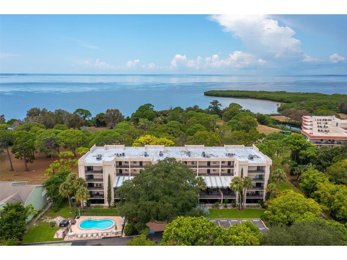 208 Tarpon Point #208 Tarpon Springs FL 34689 T3469425 image1