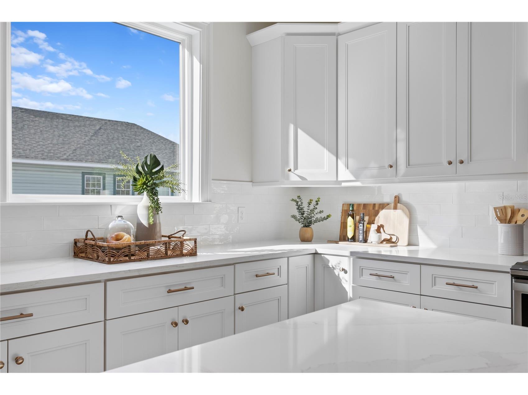 208 W Frances Avenue #3 Tampa FL 33602 TB8503947 image12