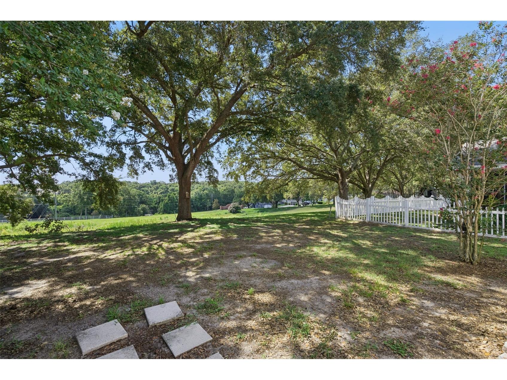 2080 Cranberry Isles Way Apopka FL 32712 O6427290 image32