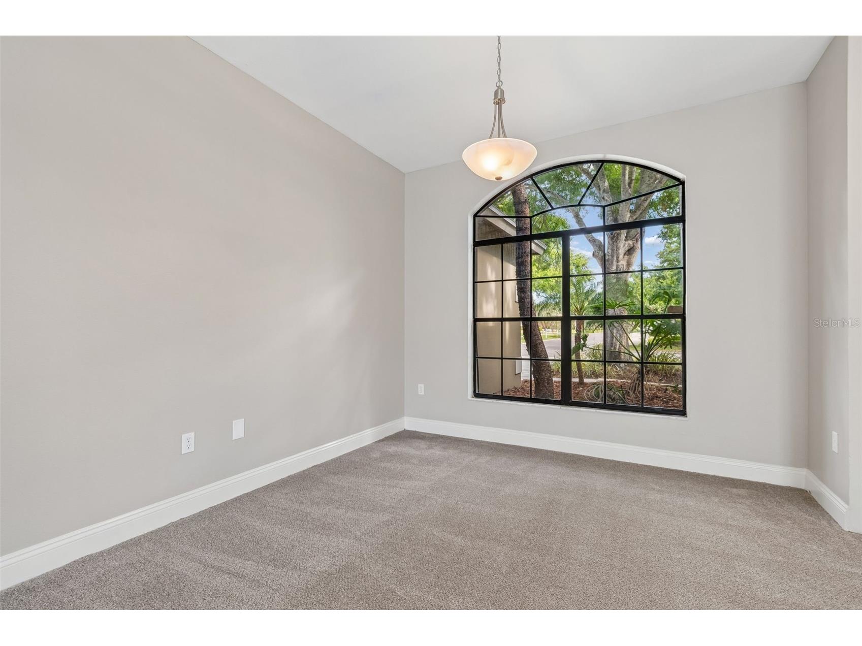 2080 Simeon Drive Palm Harbor FL 34683 TB8503096 image10