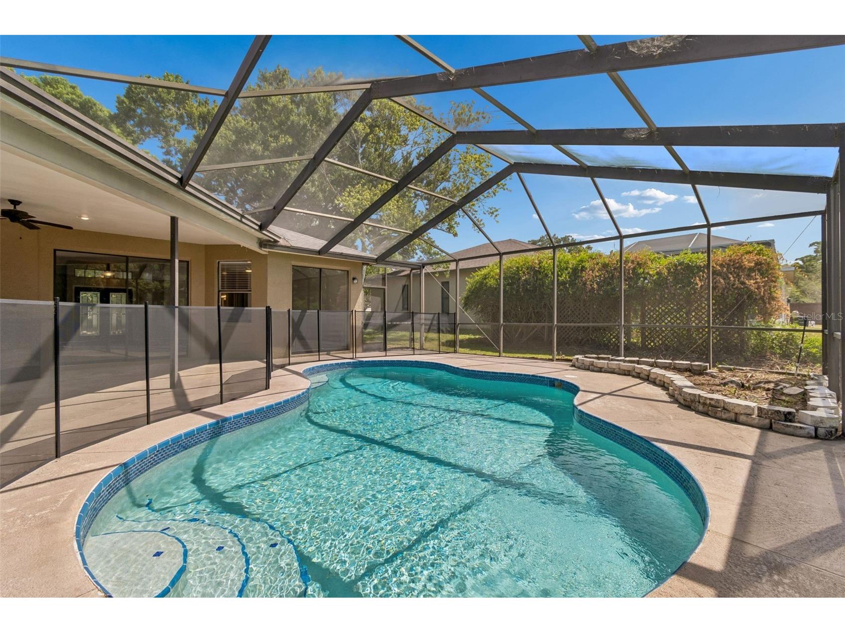 2080 Simeon Drive Palm Harbor FL 34683 TB8503096 image40
