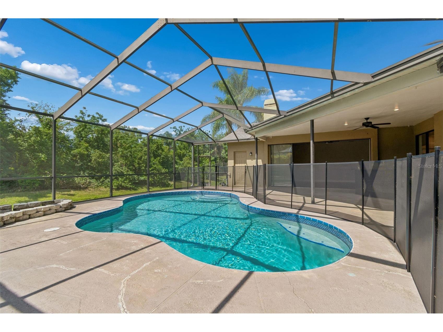 2080 Simeon Drive Palm Harbor FL 34683 TB8503096 image42