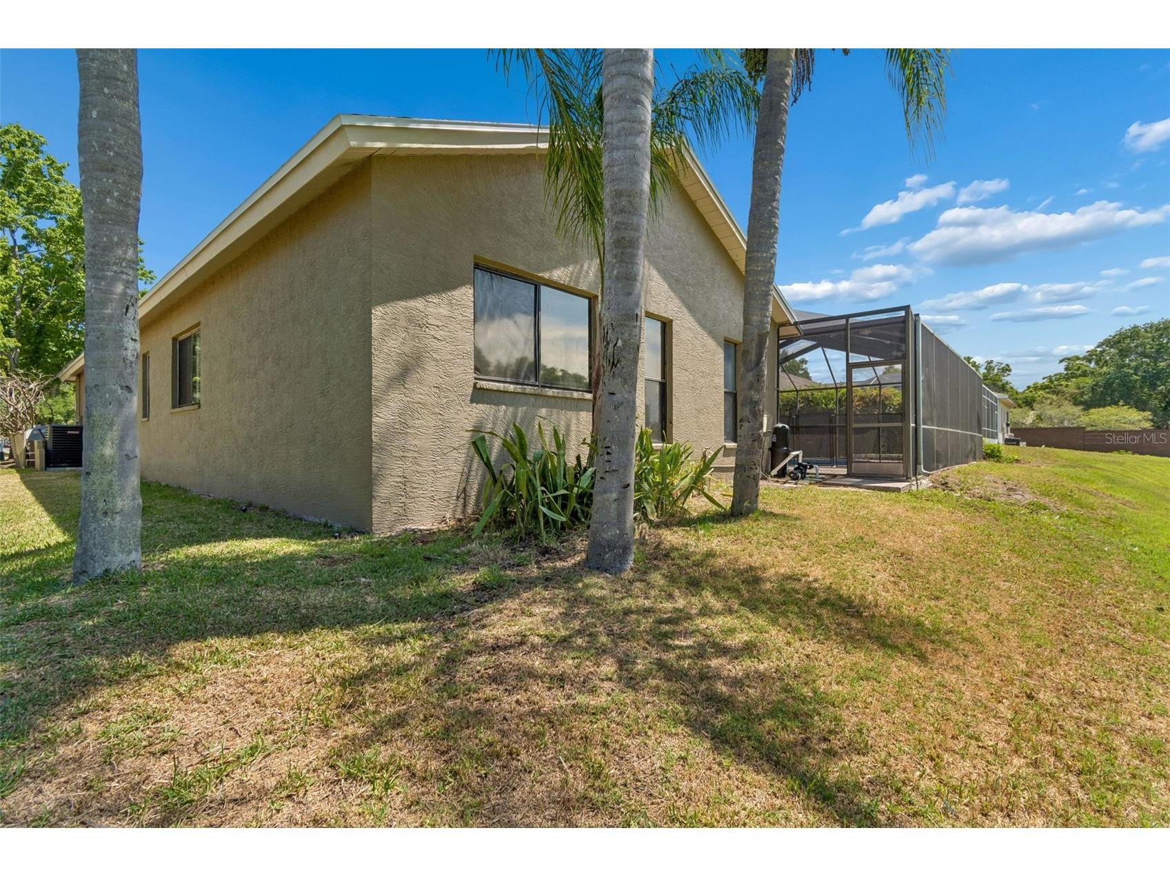 2080 Simeon Drive Palm Harbor FL 34683 TB8503096 image44